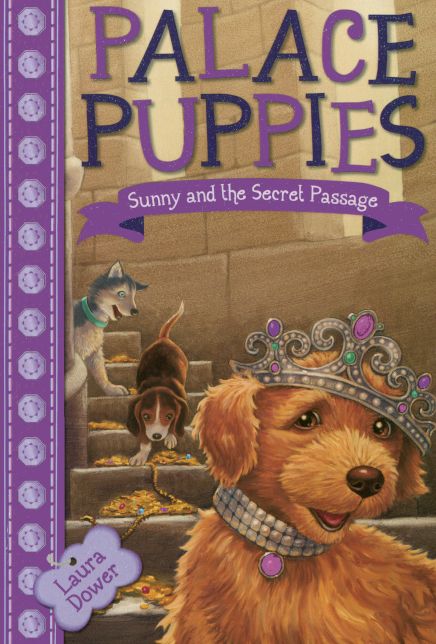 Sunny and the Secret Passage