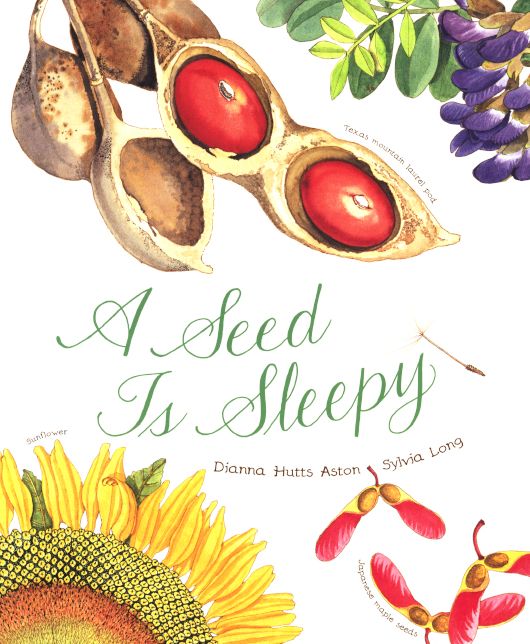 A Seed Is Sleepy (Turtleback School & Library Binding Edition)