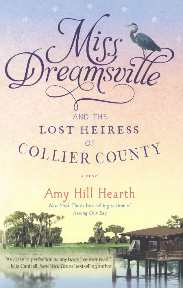 Miss Dreamsville and the Lost Heiress of Collier County
