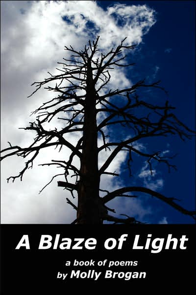 A Blaze of Light