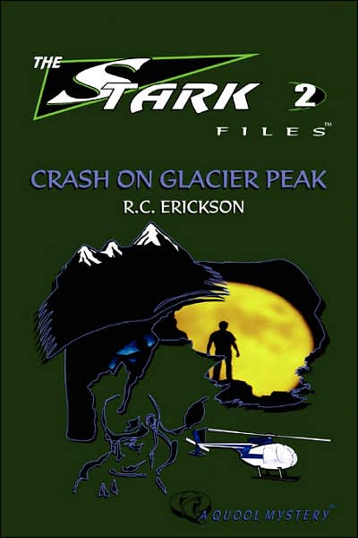 Crash On Glacier Peak