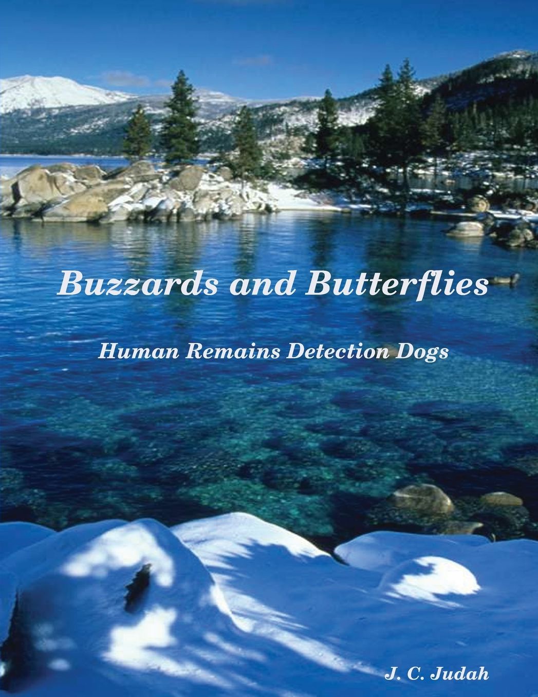 Buzzards And Butterflies - Human Remains Detection Dogs