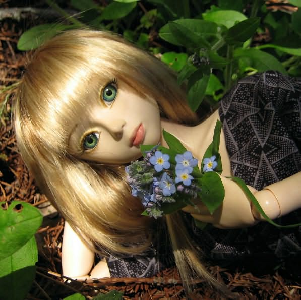 Resin Life: Snapshots of Asian Ball-Jointed Dolls