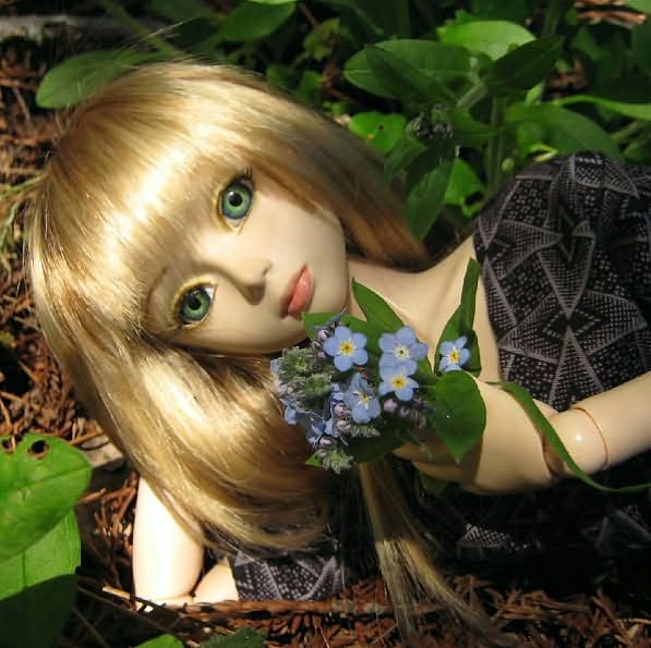 Resin Life: Snapshots of Asian Ball-Jointed Dolls