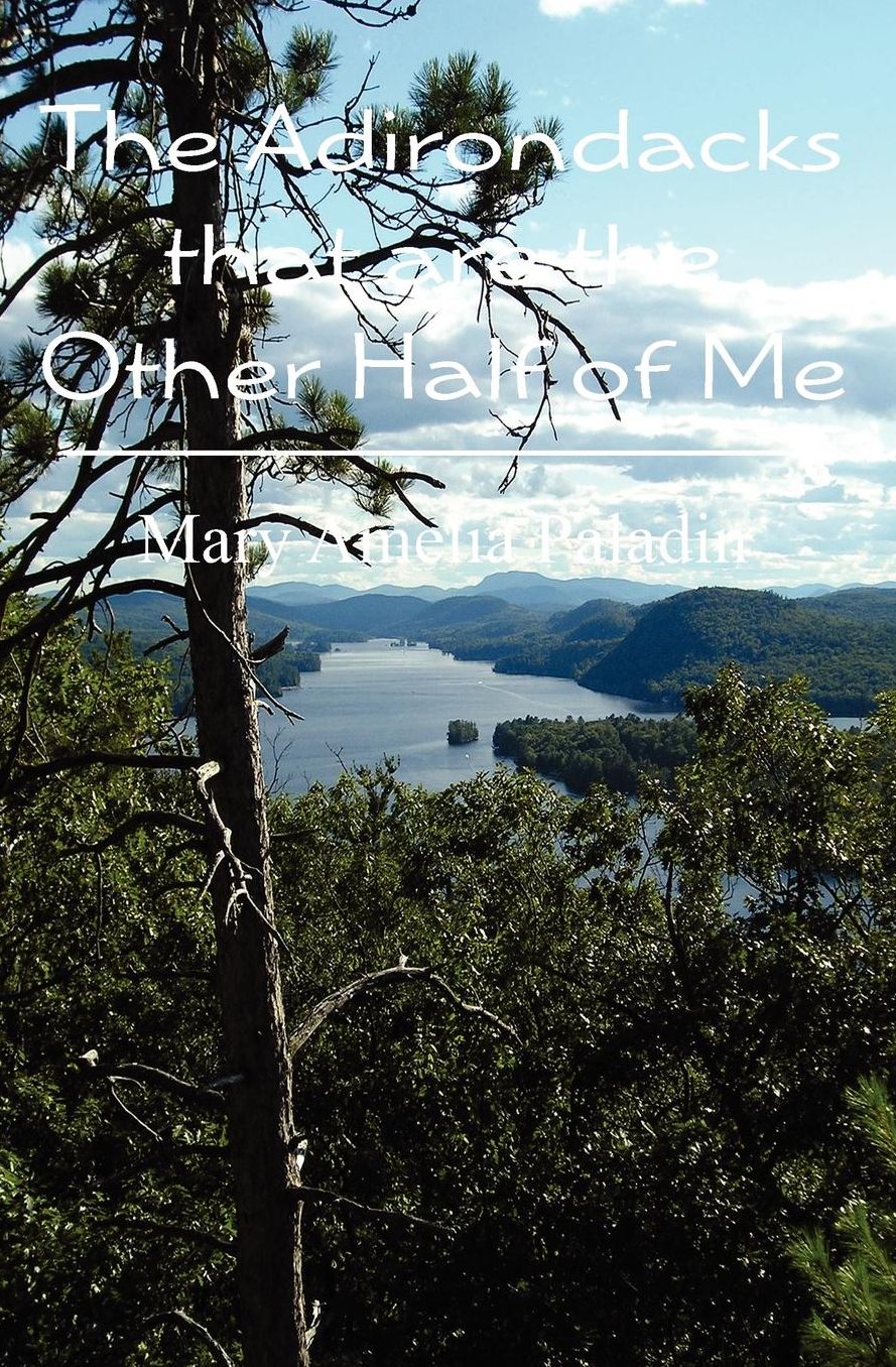 The Adirondacks That Are the Other Half of Me