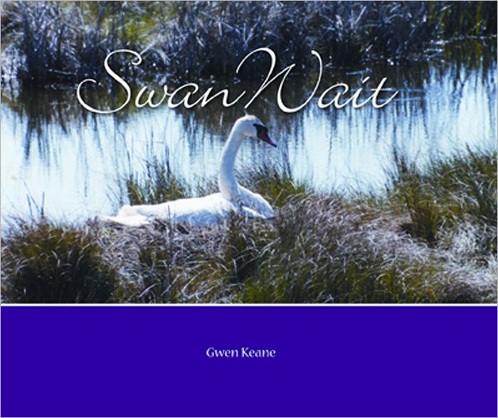 Swan Wait