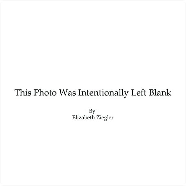 This Photo Was Intentionally Left Blank