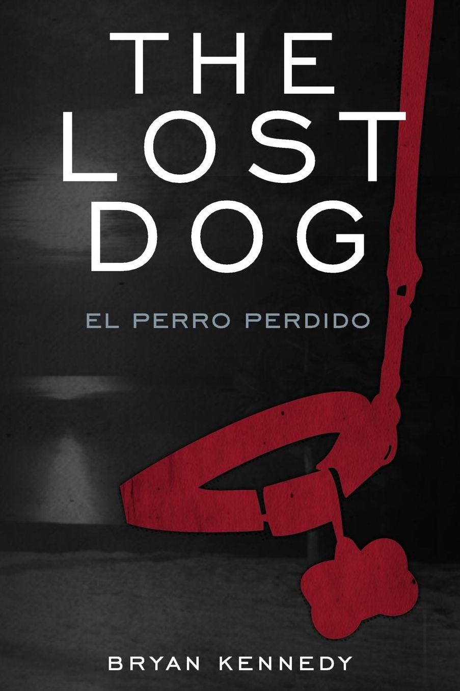 El Perro Perdido: Lost Dog