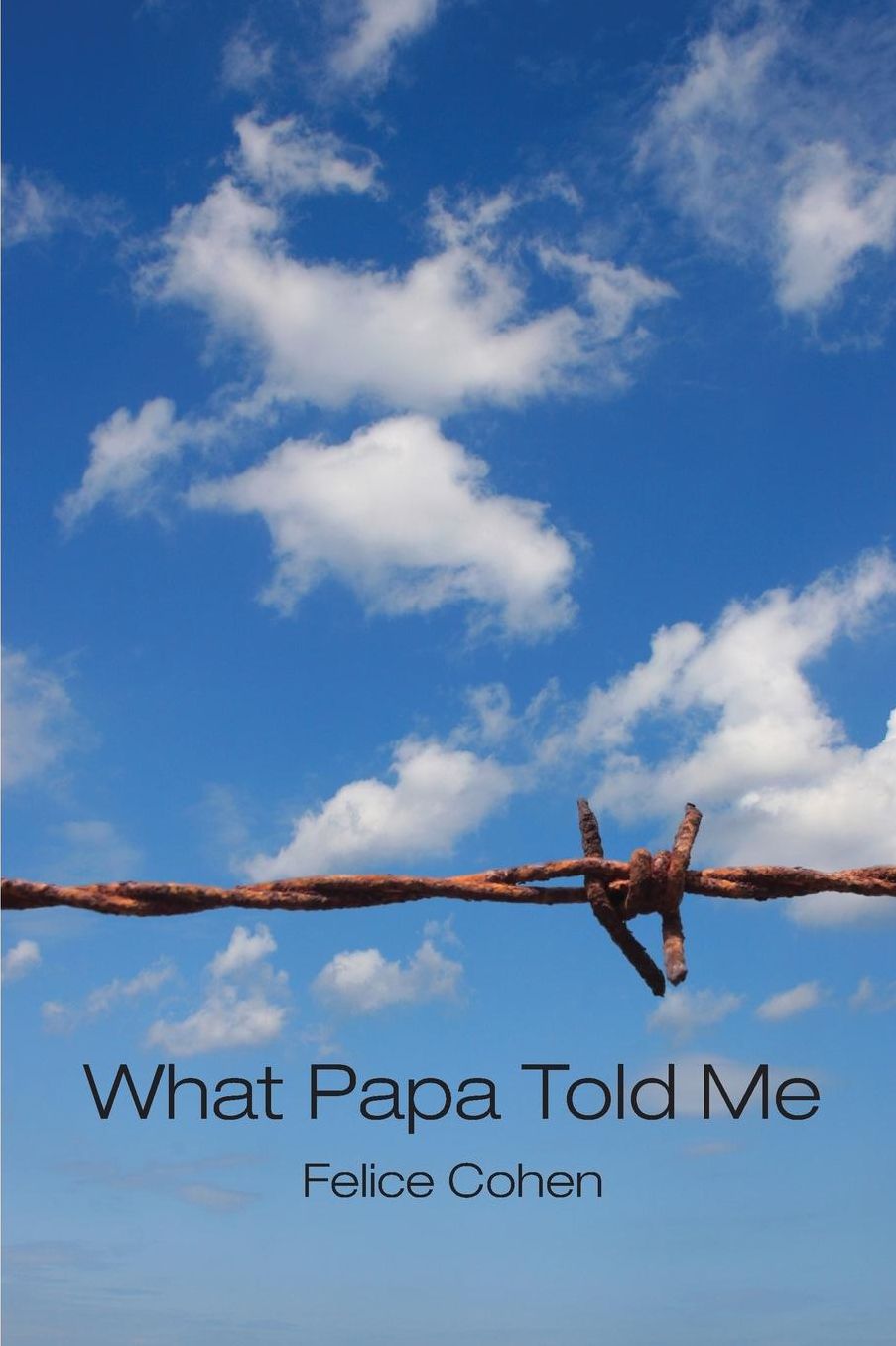 What Papa Told Me