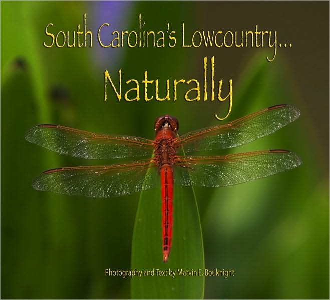 South Carolina's Lowcountry... Naturally