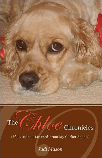 The Chloe Chronicles: Life lessons I learned from my cocker Spaniel