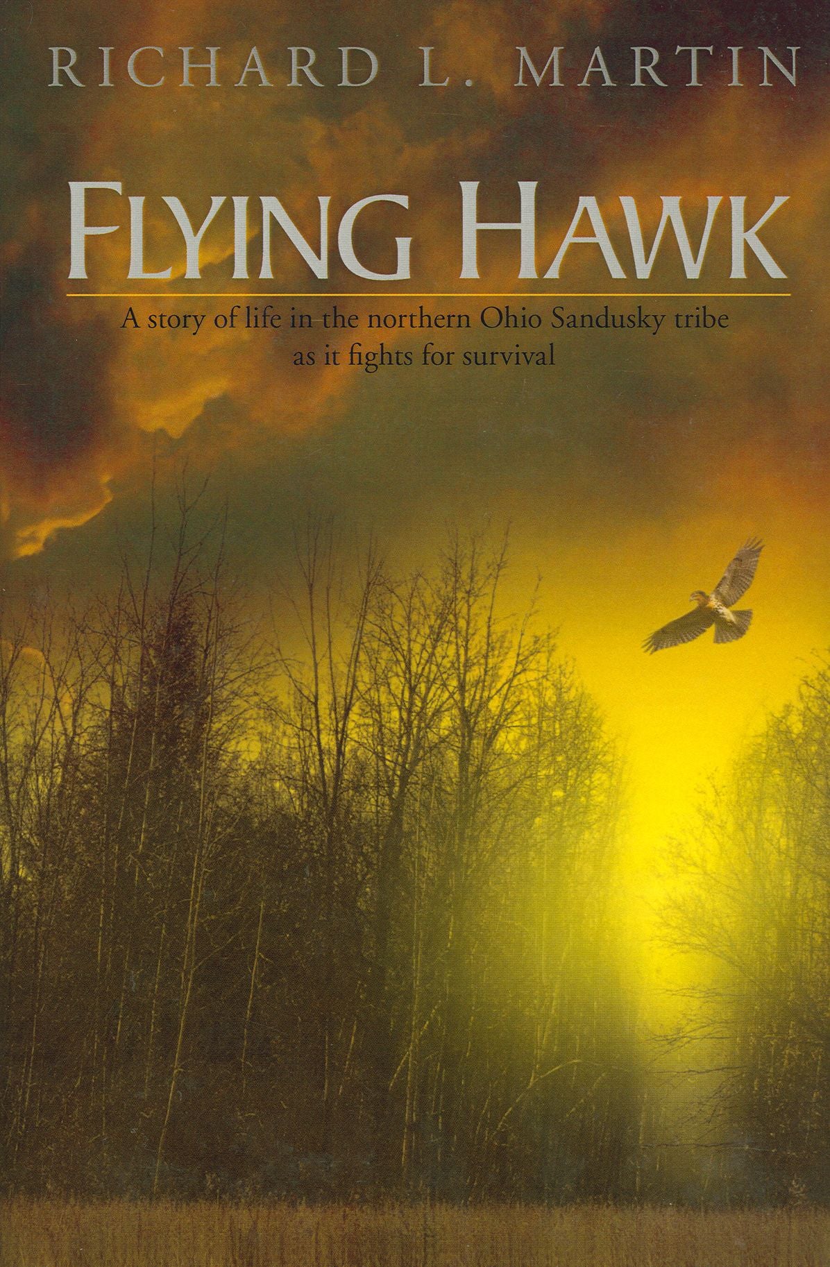 Flying Hawk
