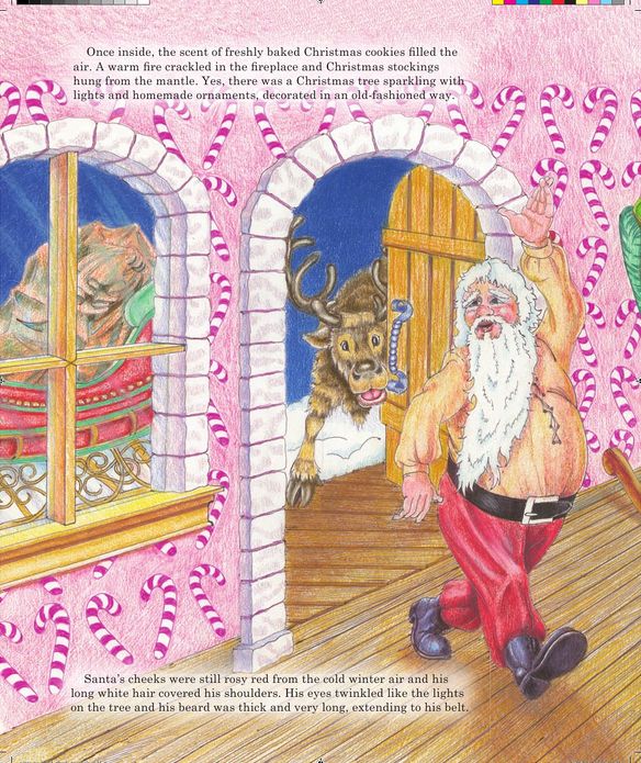 The Christmas Santa Had No Beard