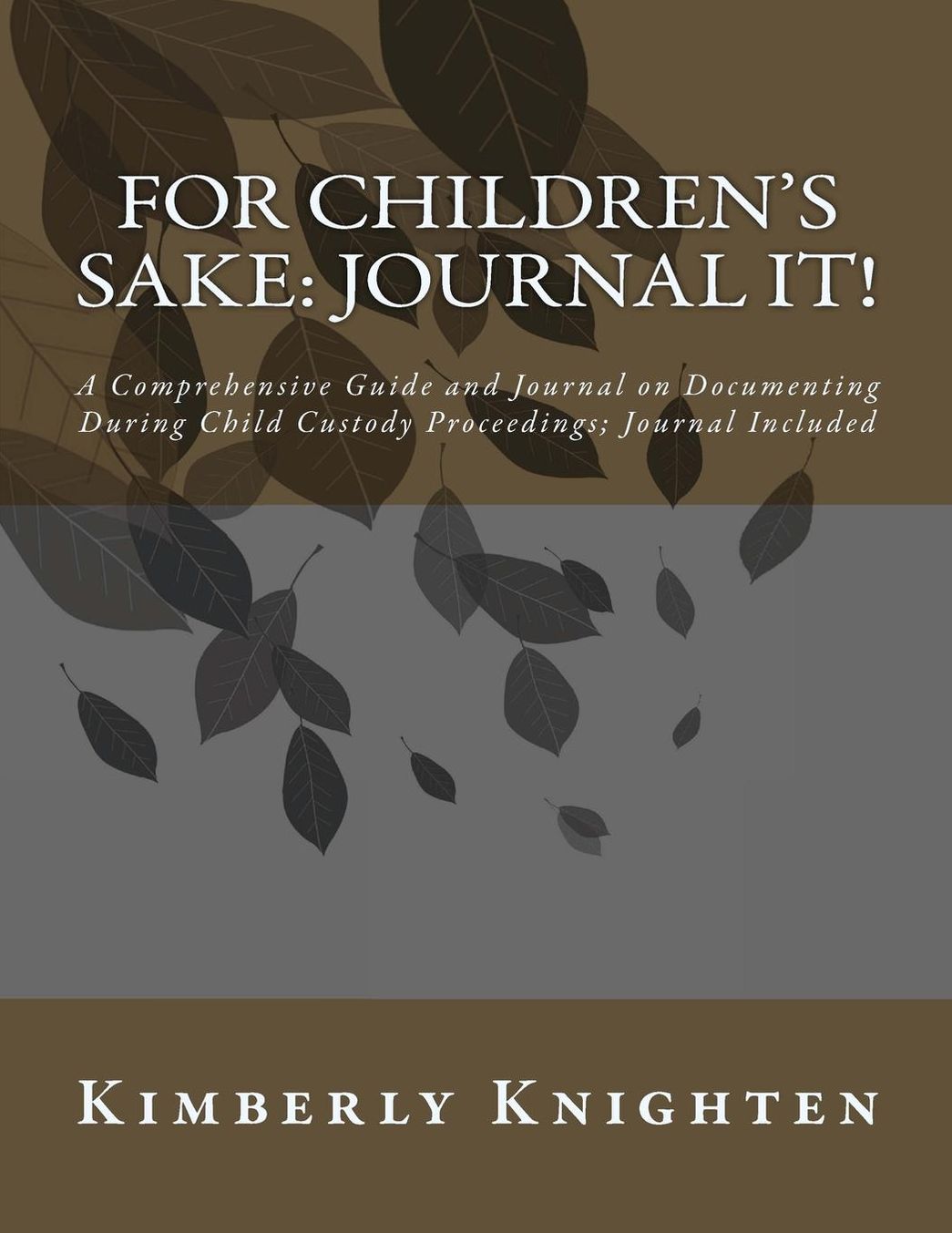 For Children's Sake: A Comprehensive Guide and Journal on Documenting During Child Custody Proceedings; Journal Included