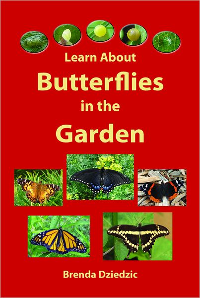 Learn about Butterflies in the Garden
