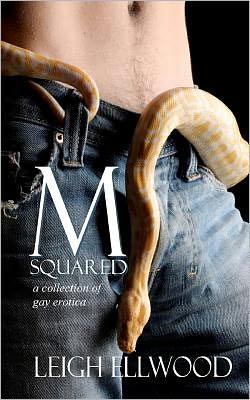 M-Squared: A Collection of Gay Erotica