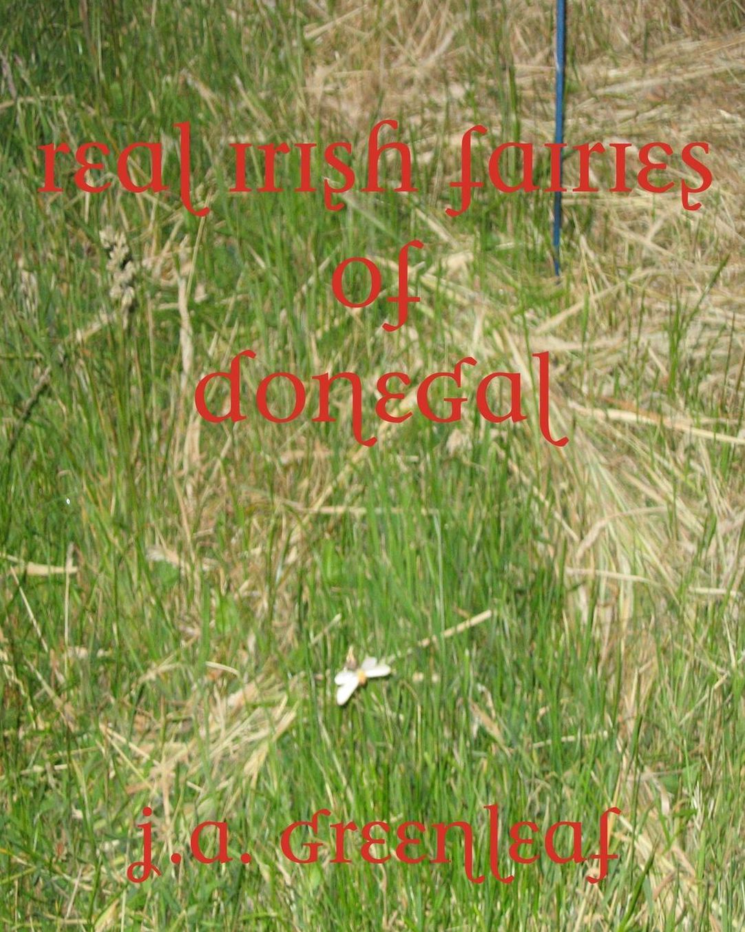 Real Irish Fairies of Donegal: Just Because You Don't Believe In Fairies Doesn't Mean They Don't Exist