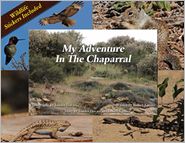 My Adventure in the California Chaparral