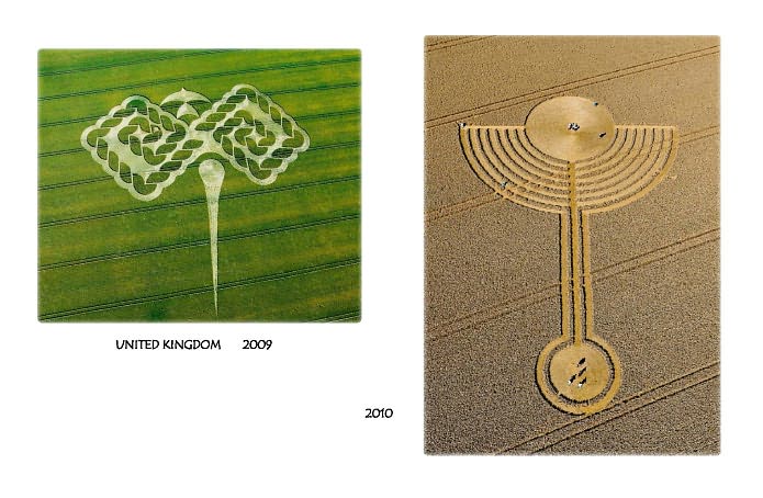 Earth Expressions: An Artistic Exploration Inspired by Crop Circles
