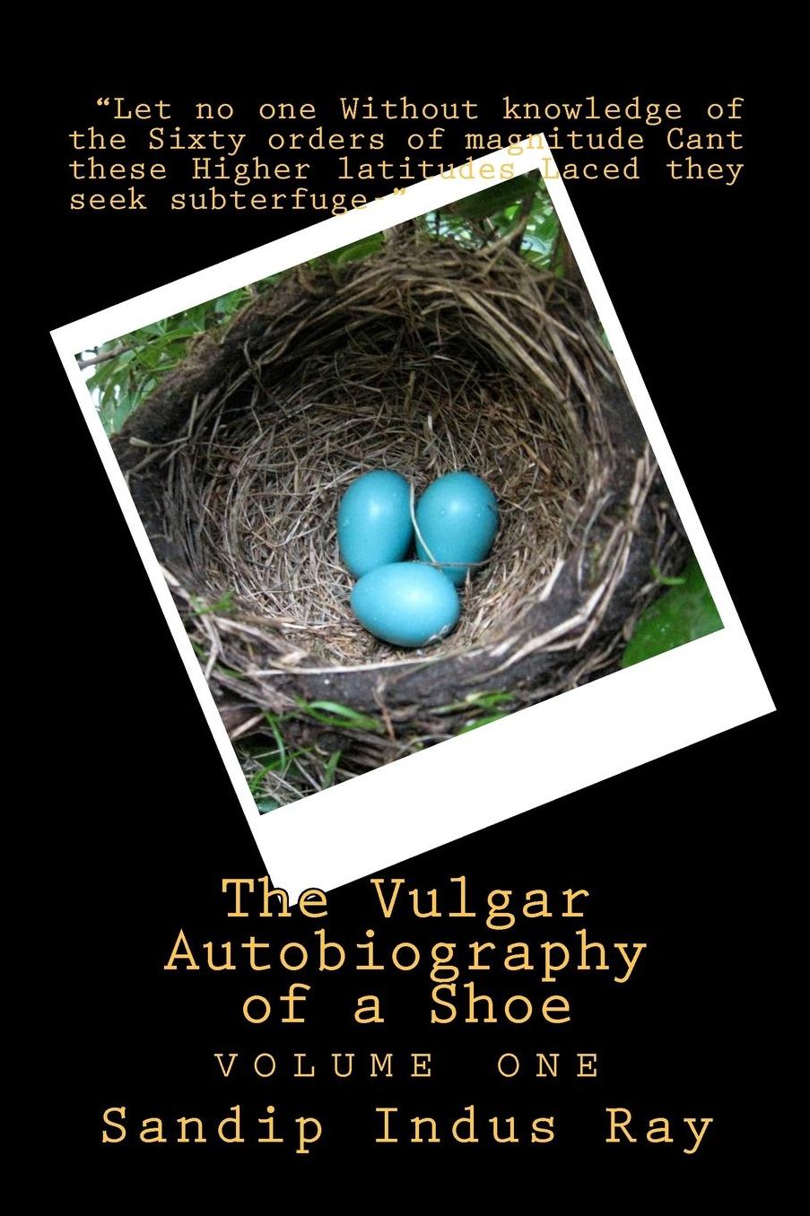 The Vulgar Autobiography of a Shoe: Volume One