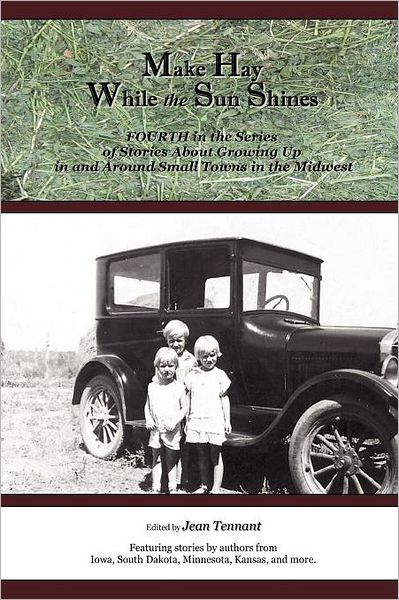 Make Hay While the Sun Shines: Fourth in the Series of Stories about Growing up in and Around Small Towns in the Midwest