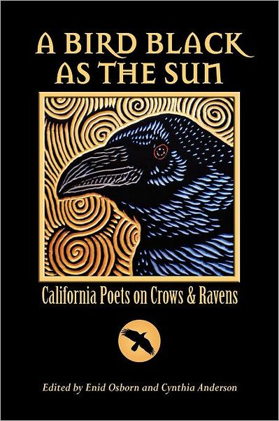 A Bird Black As The Sun