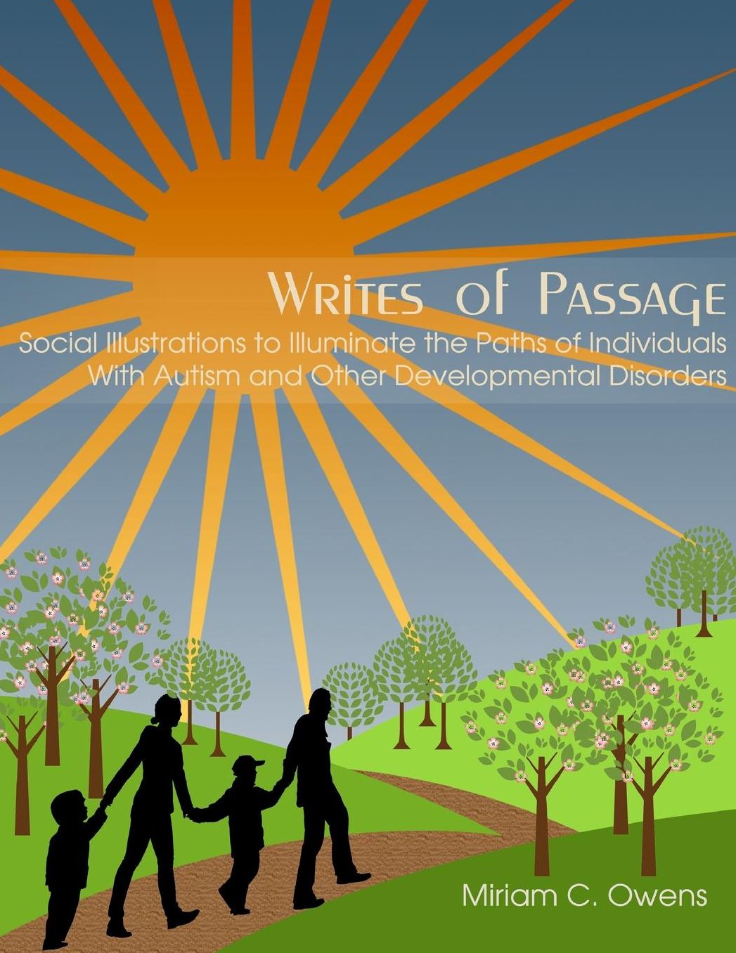 Writes of Passage: Social Illustrations to Illuminate the Paths of Individuals with Autism and Other Developmental Disorders