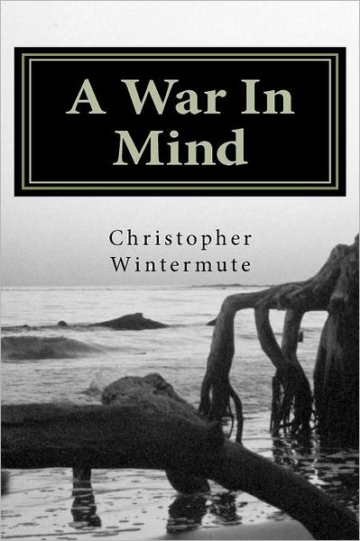 A War in Mind