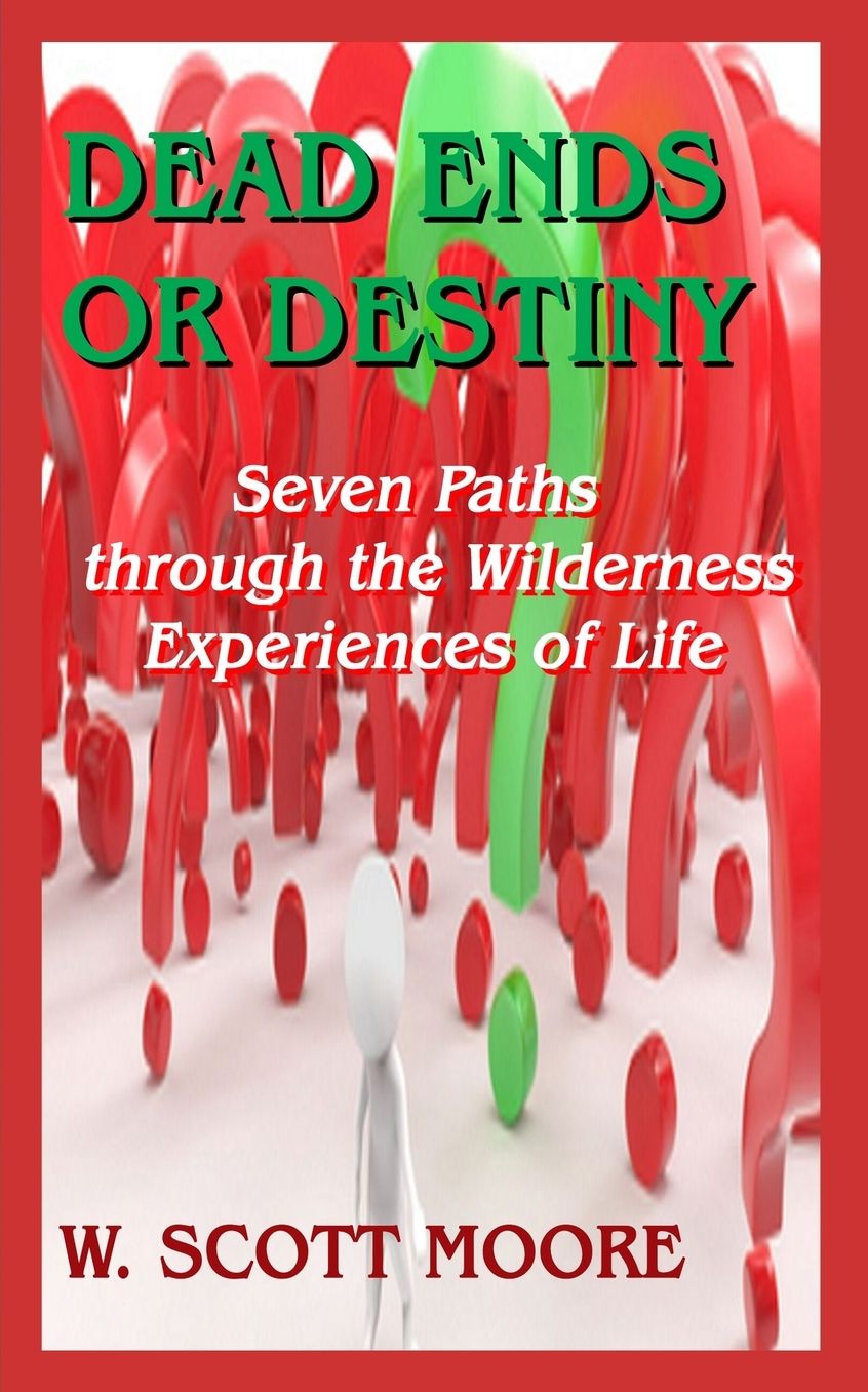 Dead Ends or Destiny?: Seven Paths Through the Wilderness Experiences of Life