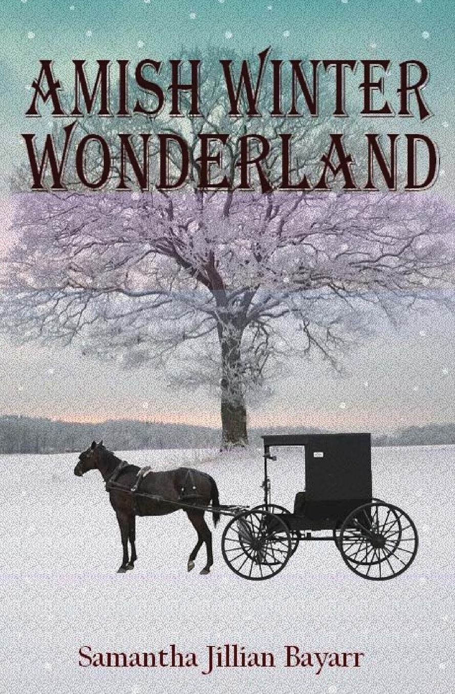 Amish Winter Wonderland: Book Two