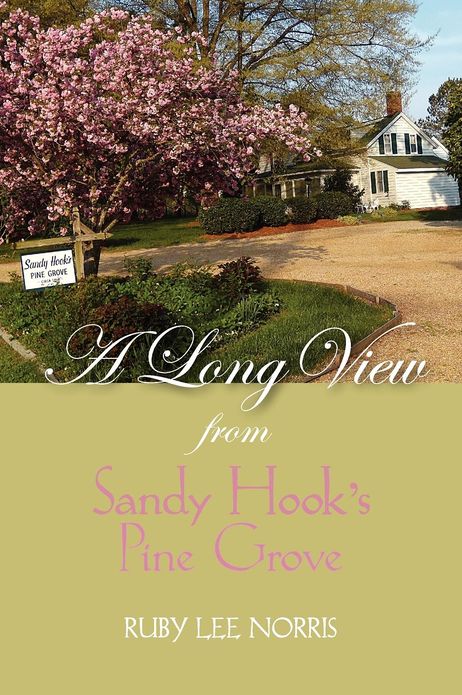 A Long View from Sandy Hook's Pine Grove