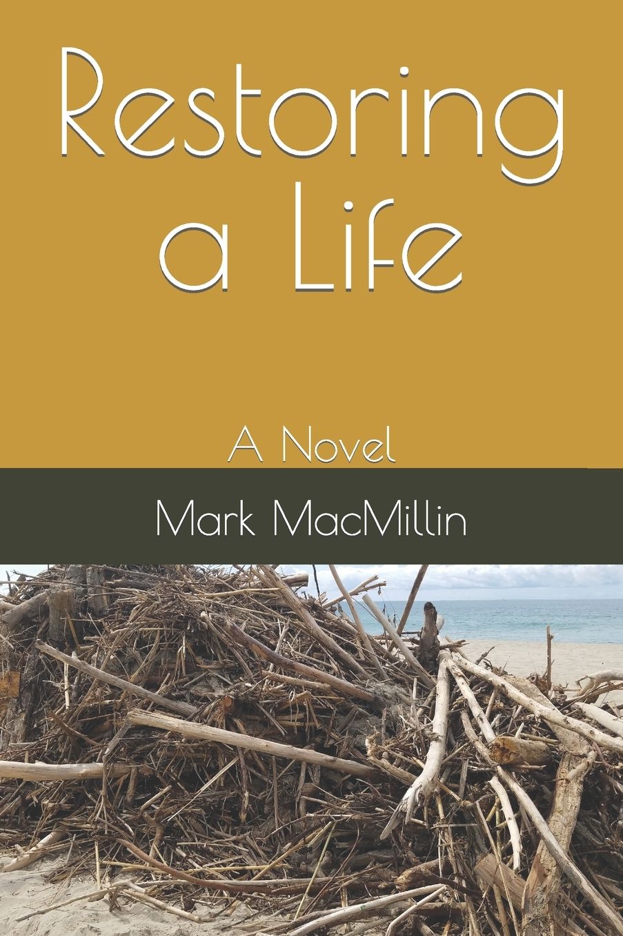Restoring a Life: A Novel