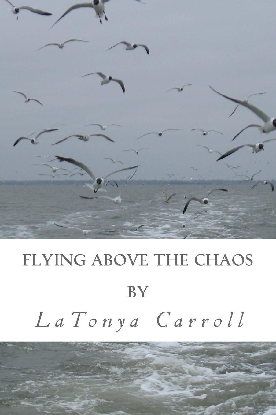 Flying Above The Chaos