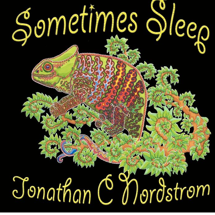 Sometimes Sleep