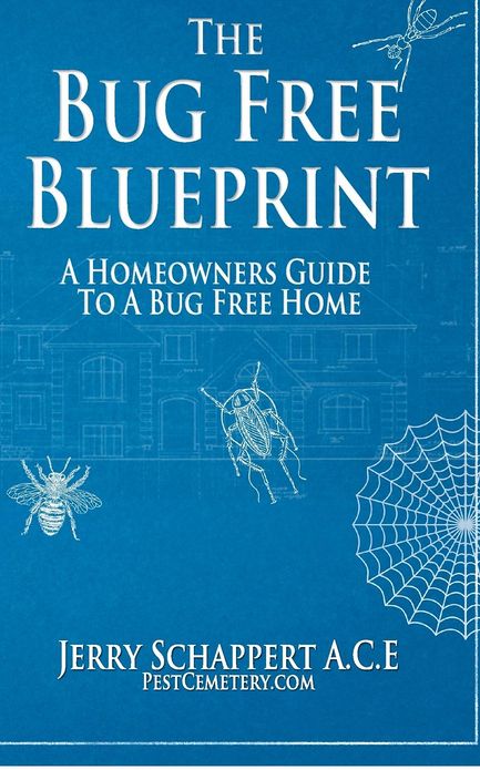 The Bug Free Blueprint