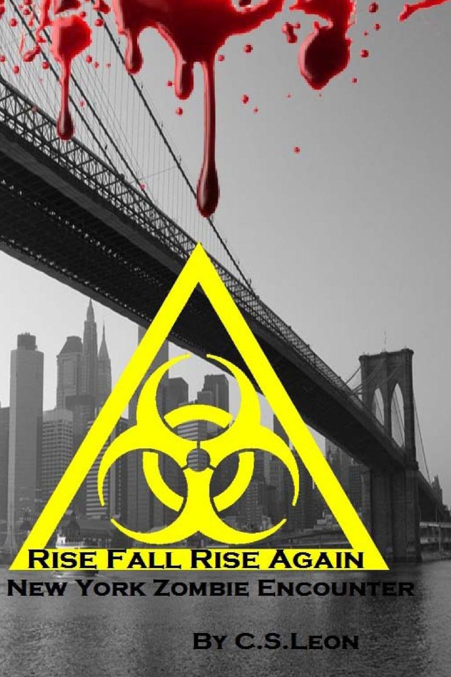 Rise Fall Rise Again: a New York Zombie Encounter