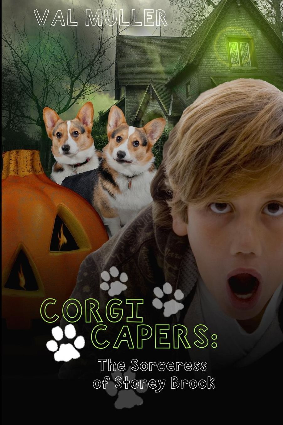 Corgi Capers: The Sorceress of Stoney Brook