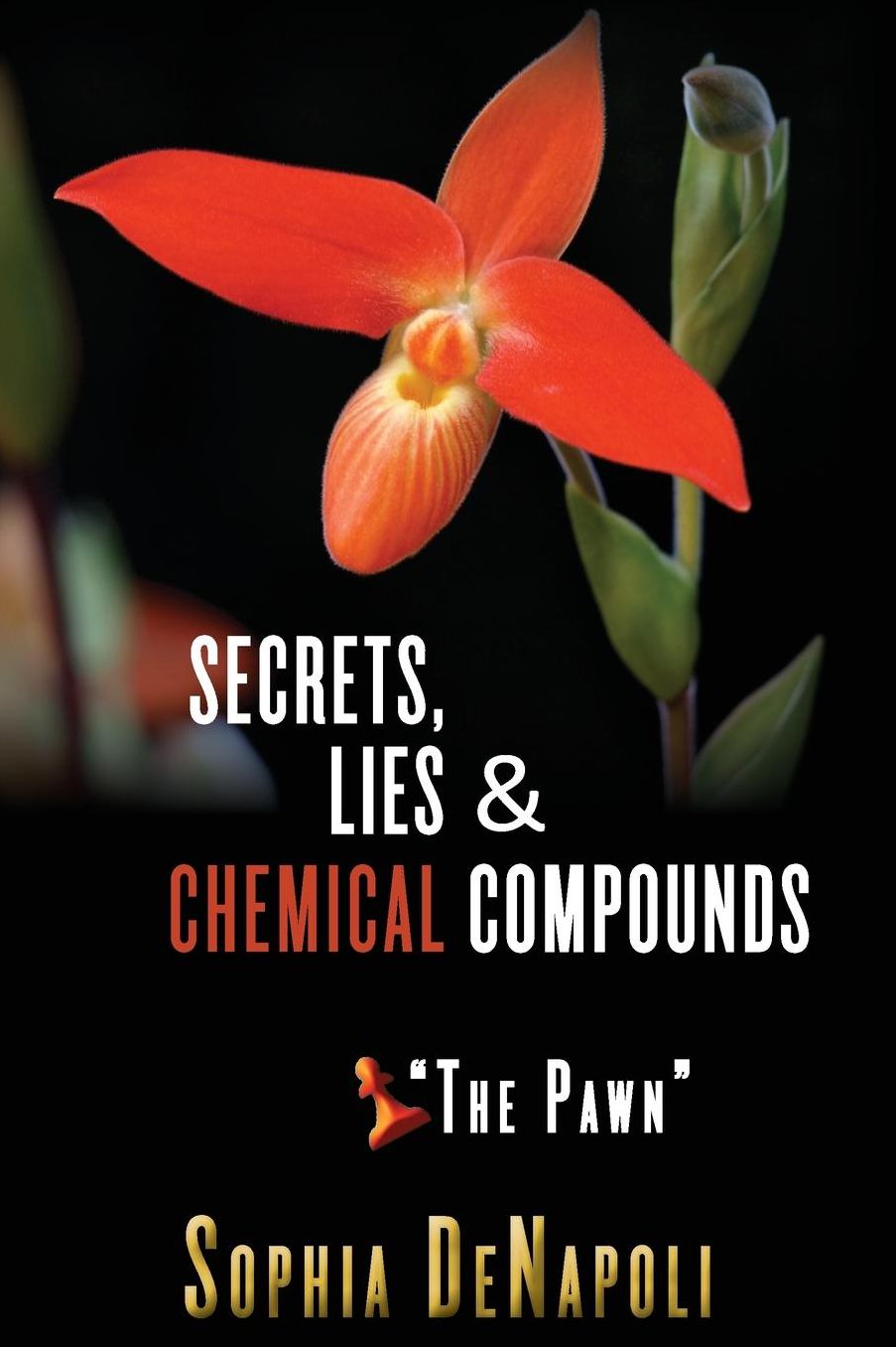 Secrets, Lies & Chemical Compounds - "The Pawn": The Pawn