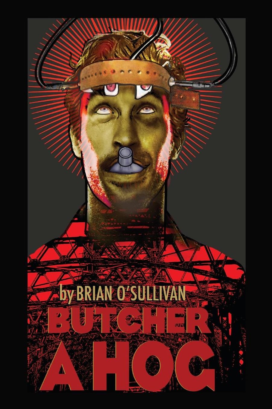 Butcher a Hog: a novel