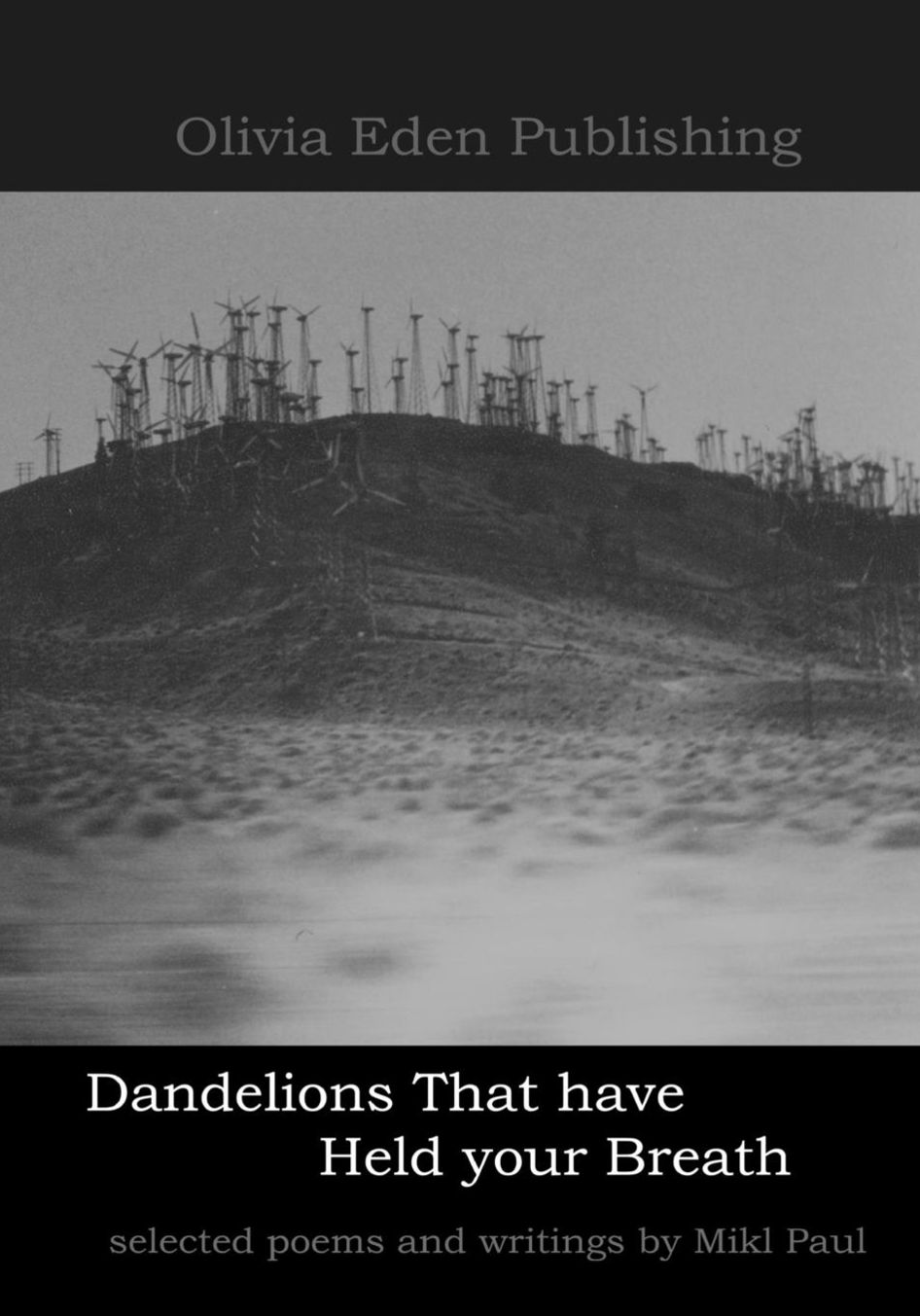 Dandelions That have Held your Breath: selected poems and writings by mikl paul