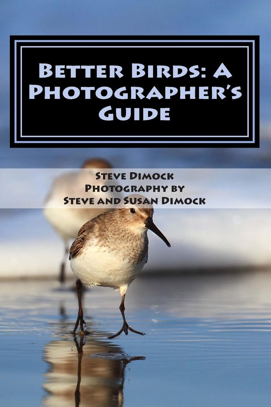Better Birds: A Photographers Guide