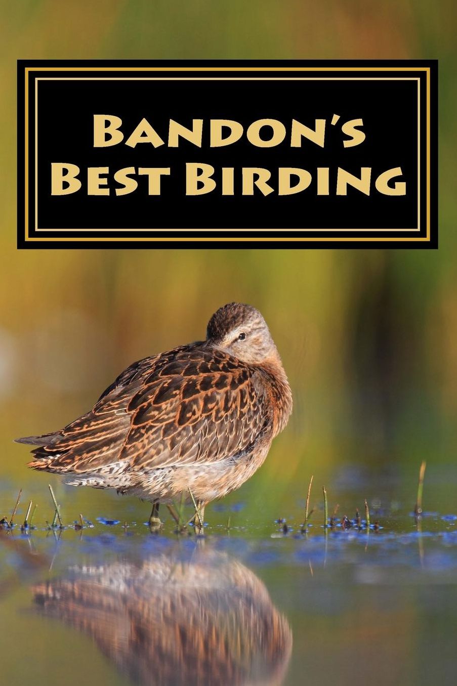 Bandon's Best Birding