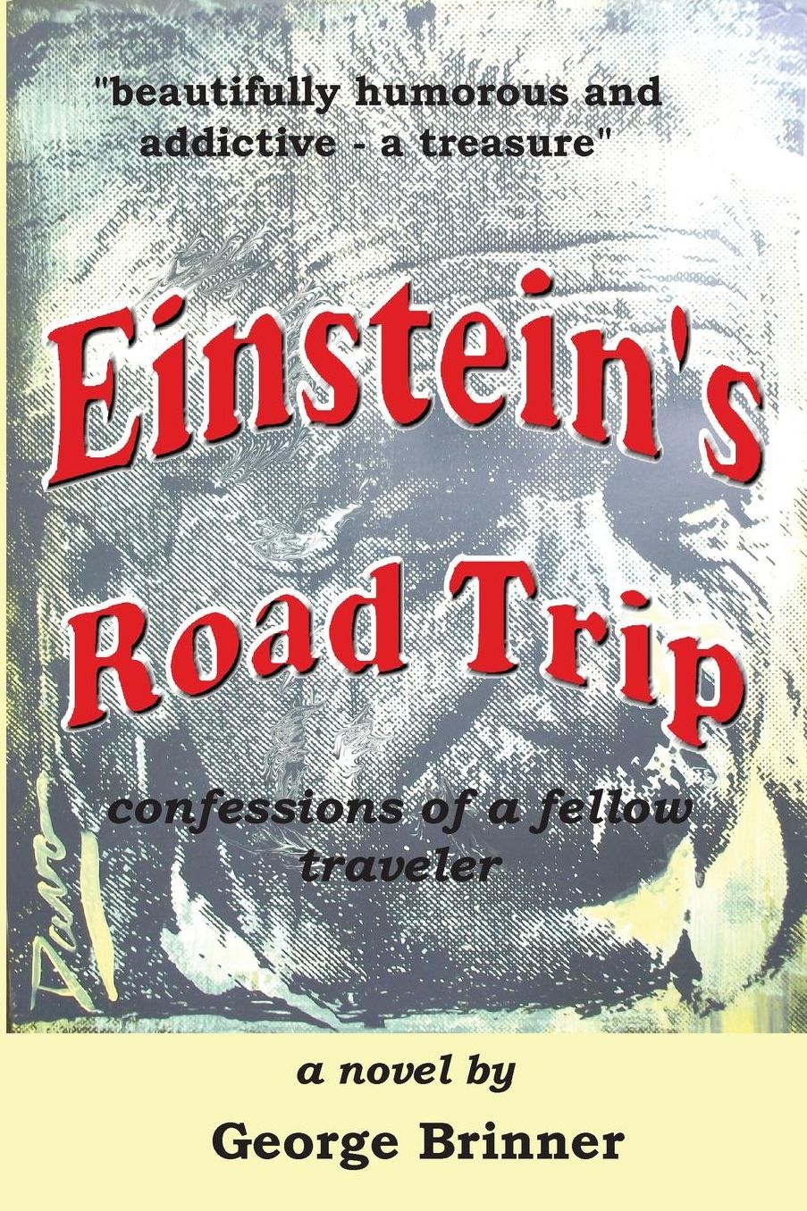 Einstein's Road Trip: Confessions of a Fellow Traveler