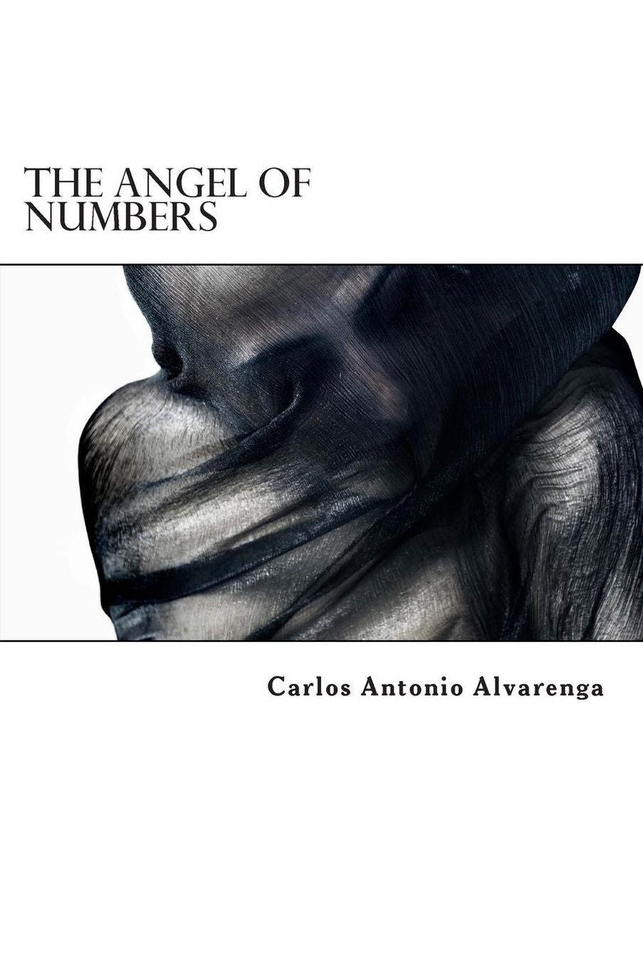 The Angel of Numbers: Novel