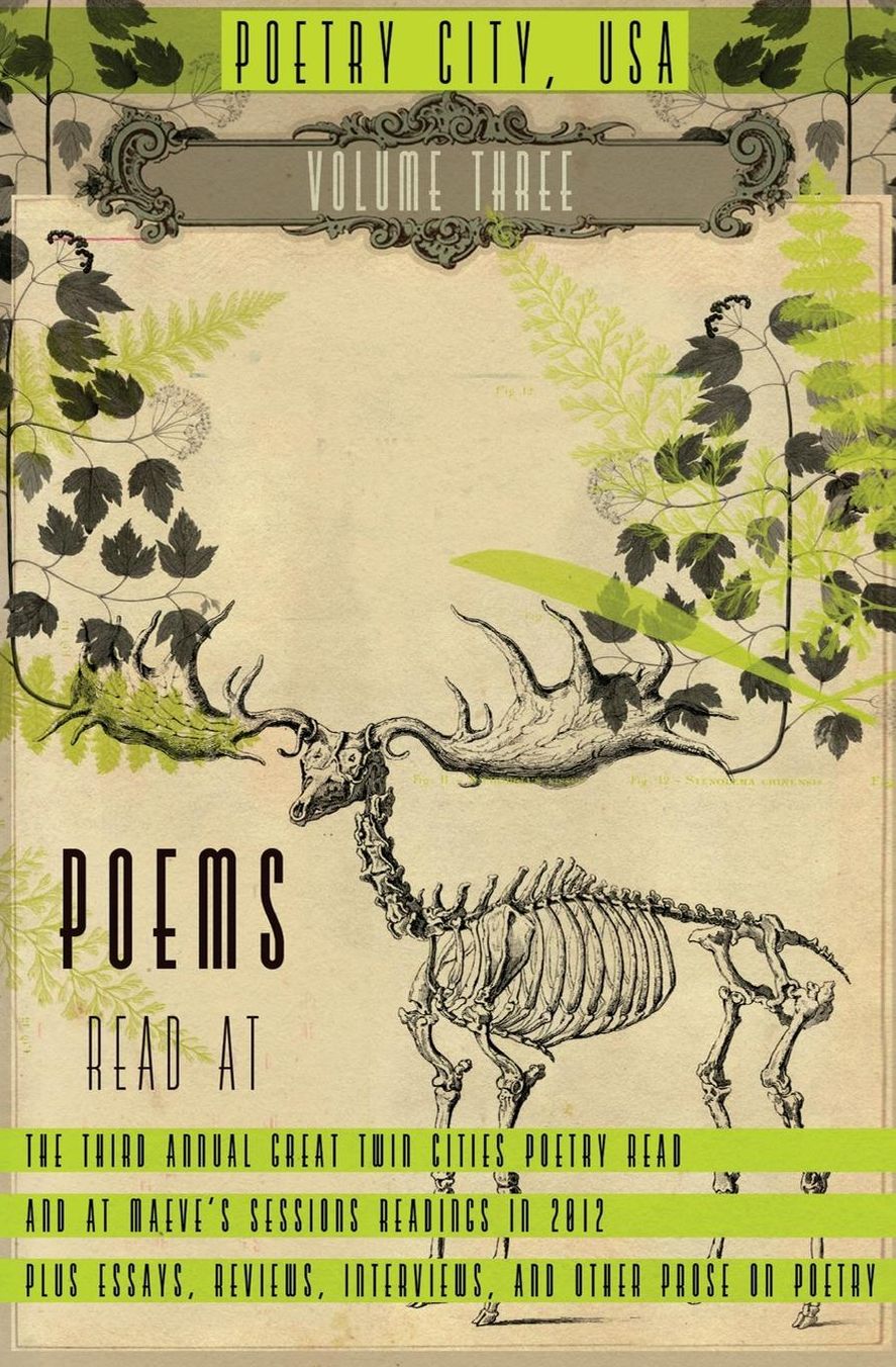 Poetry City, USA, Vol. 3: An anthology of poems read at the third annual Great Twin Cities Poetry Read plus essays, interviews, reviews, and other prose on poetry