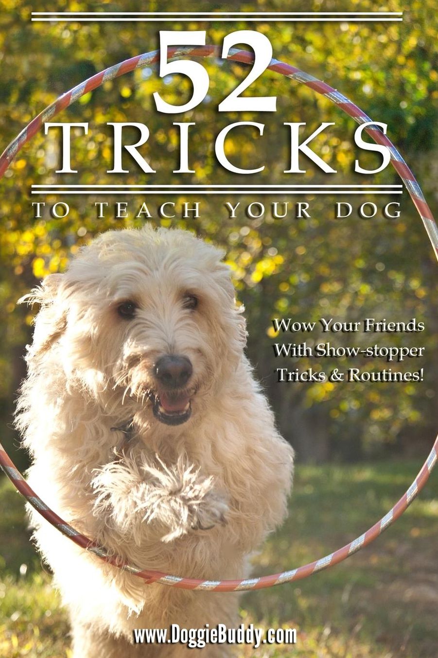 52 Tricks to Teach Your Dog
