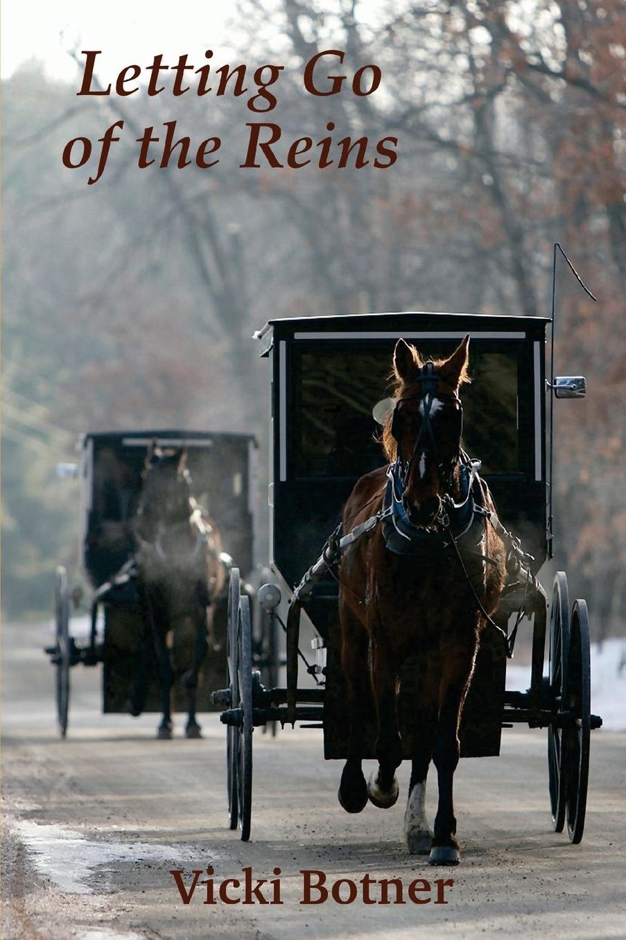 Letting Go of the Reins: The true story of a man who left the Amish and the woman who helped him