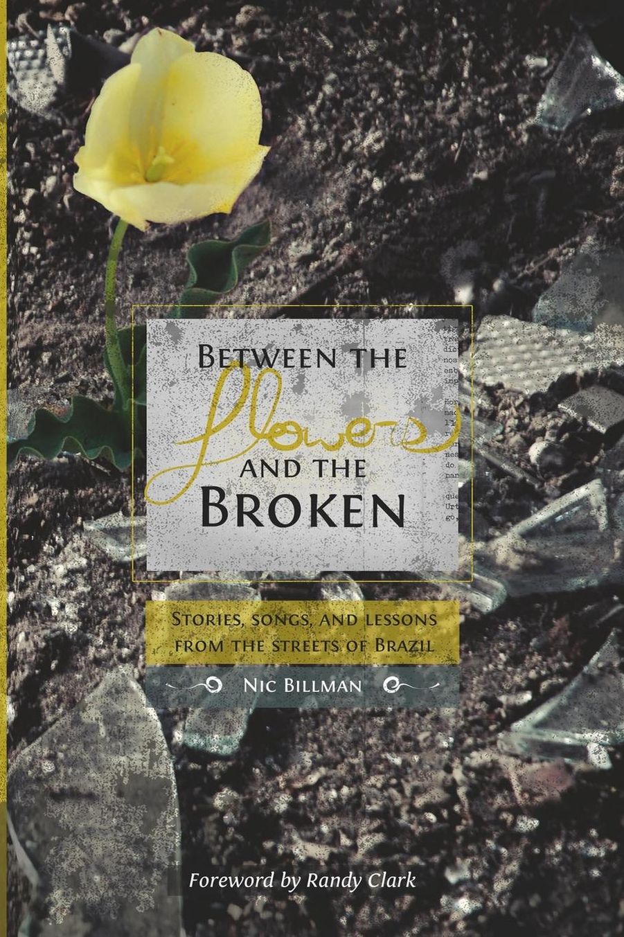 Between the Flowers and the Broken: Stories, songs and lessons from the streets of Brazil