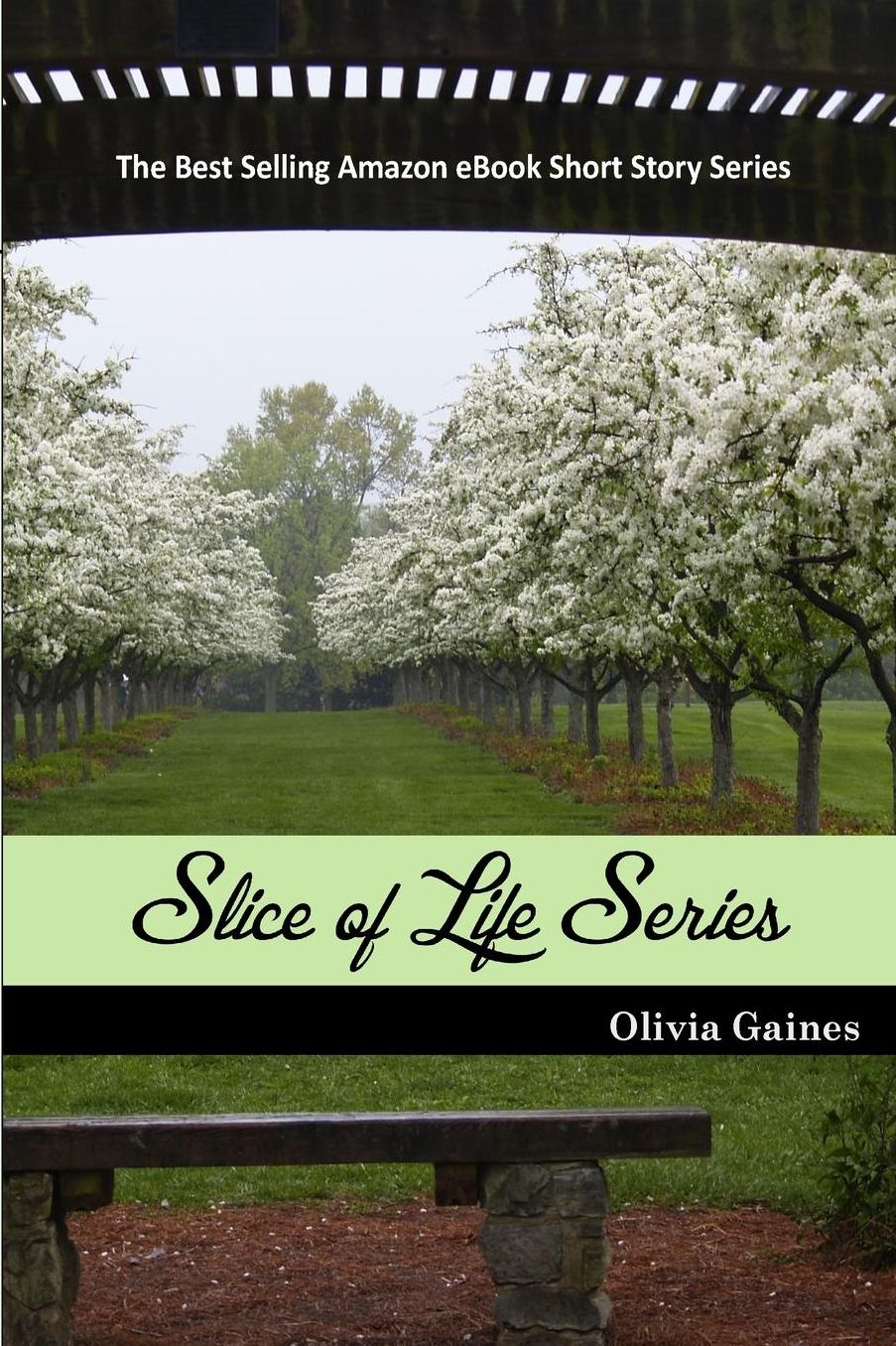 The Slice of Life Series: 2013
