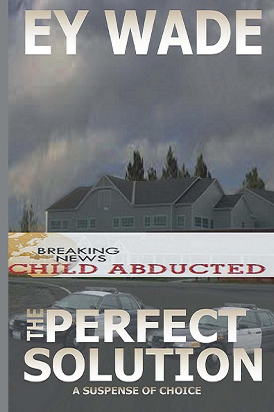 The Perfect Solution: A Suspense of Choices
